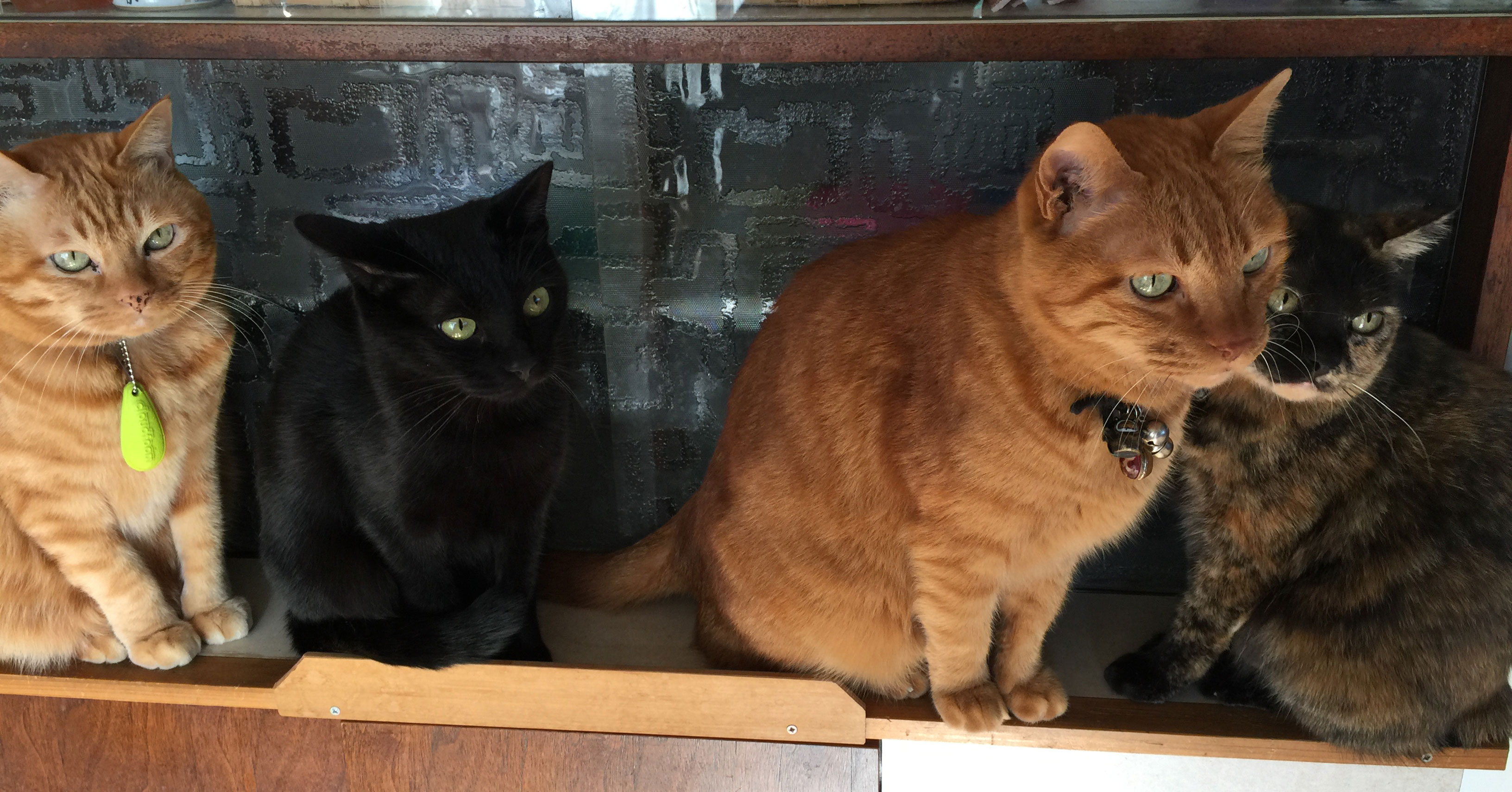 患者は君だけじゃないんだよ！