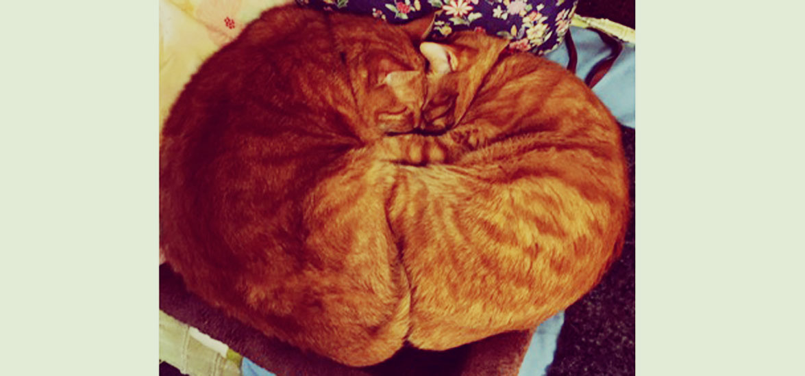 樹脂待ち|メッキ屋さんから空枠が到着