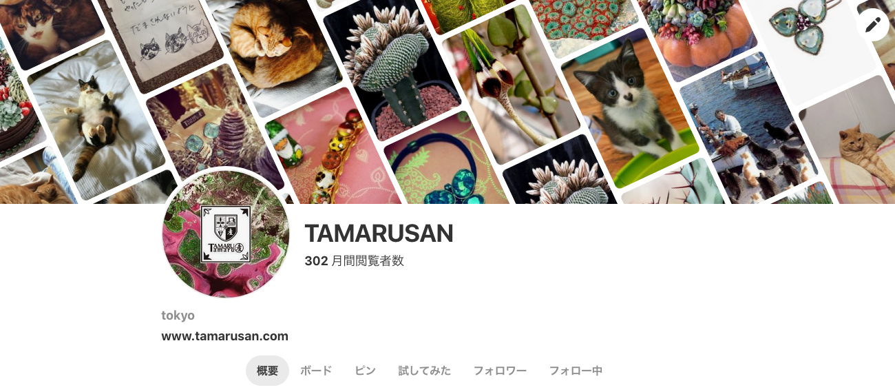 Pinterest もやってました