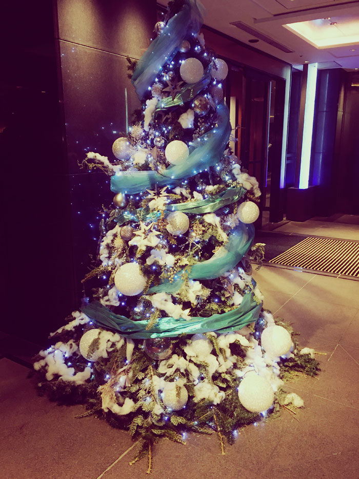 ディナーショーに行ってきました。