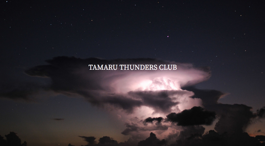 Tamaru Thuders Club の会員特典とか