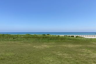 海