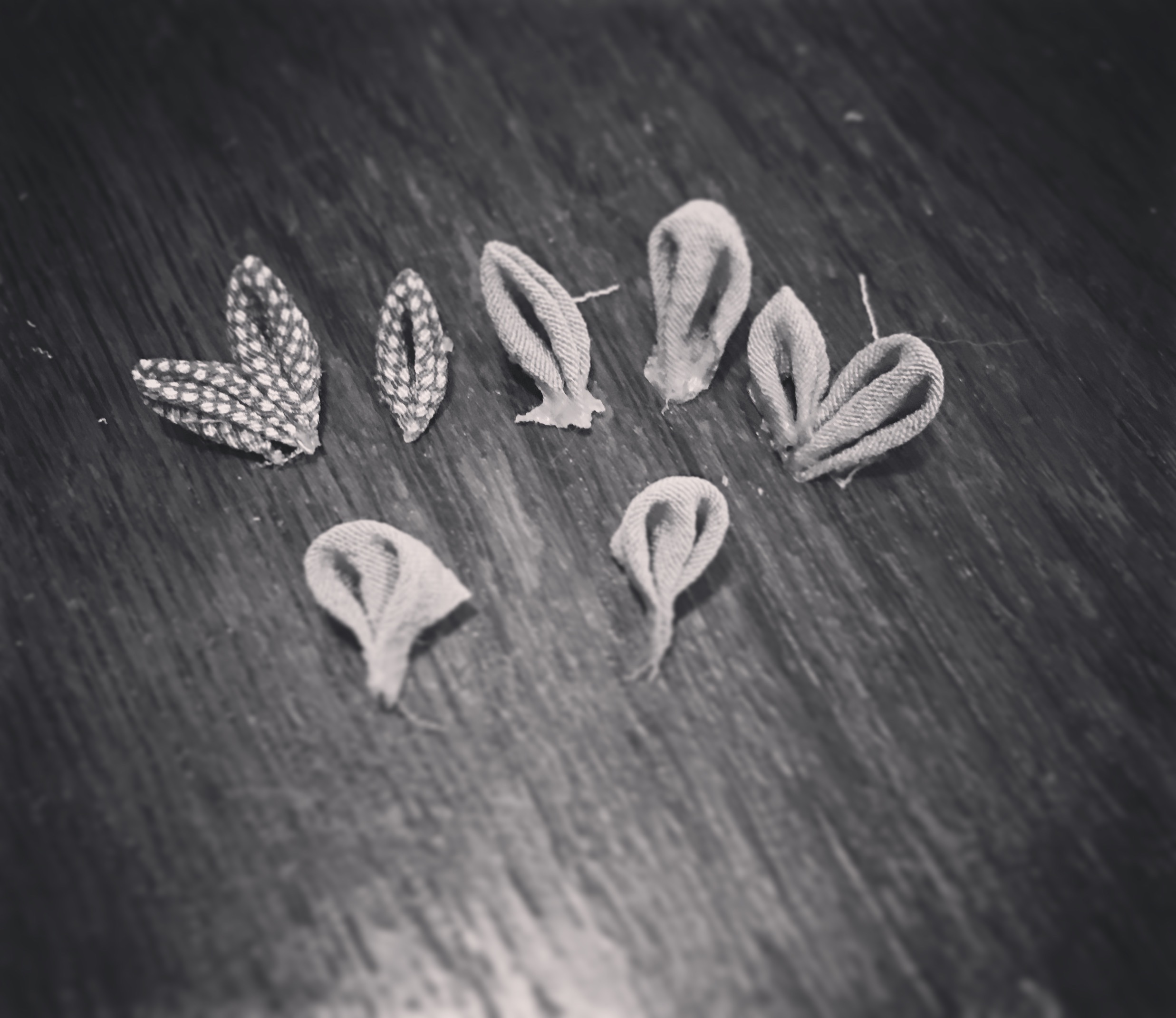 つまんでみました