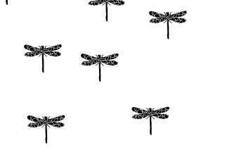 dragonfly トンボ
