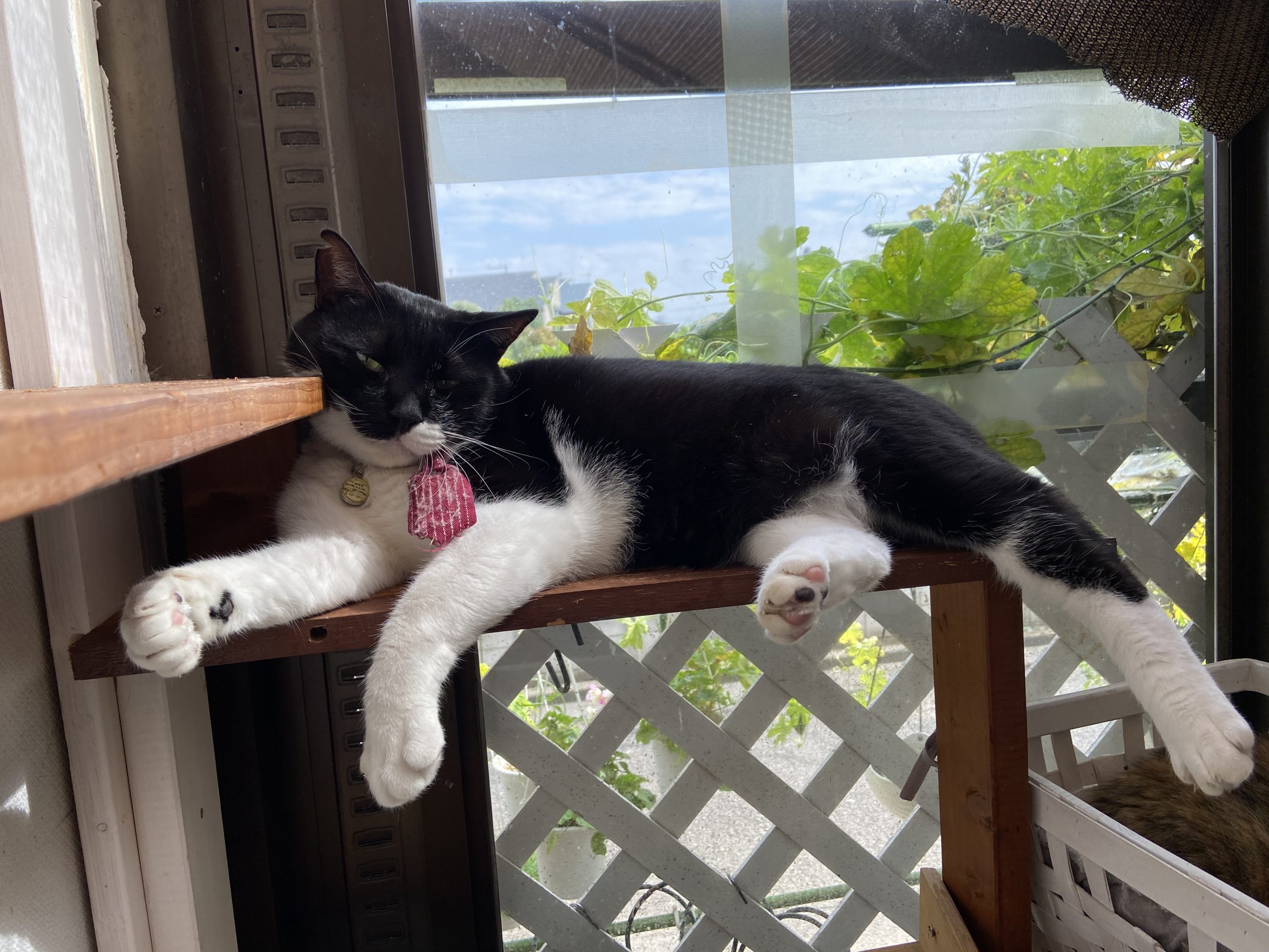 年代物の修理とか