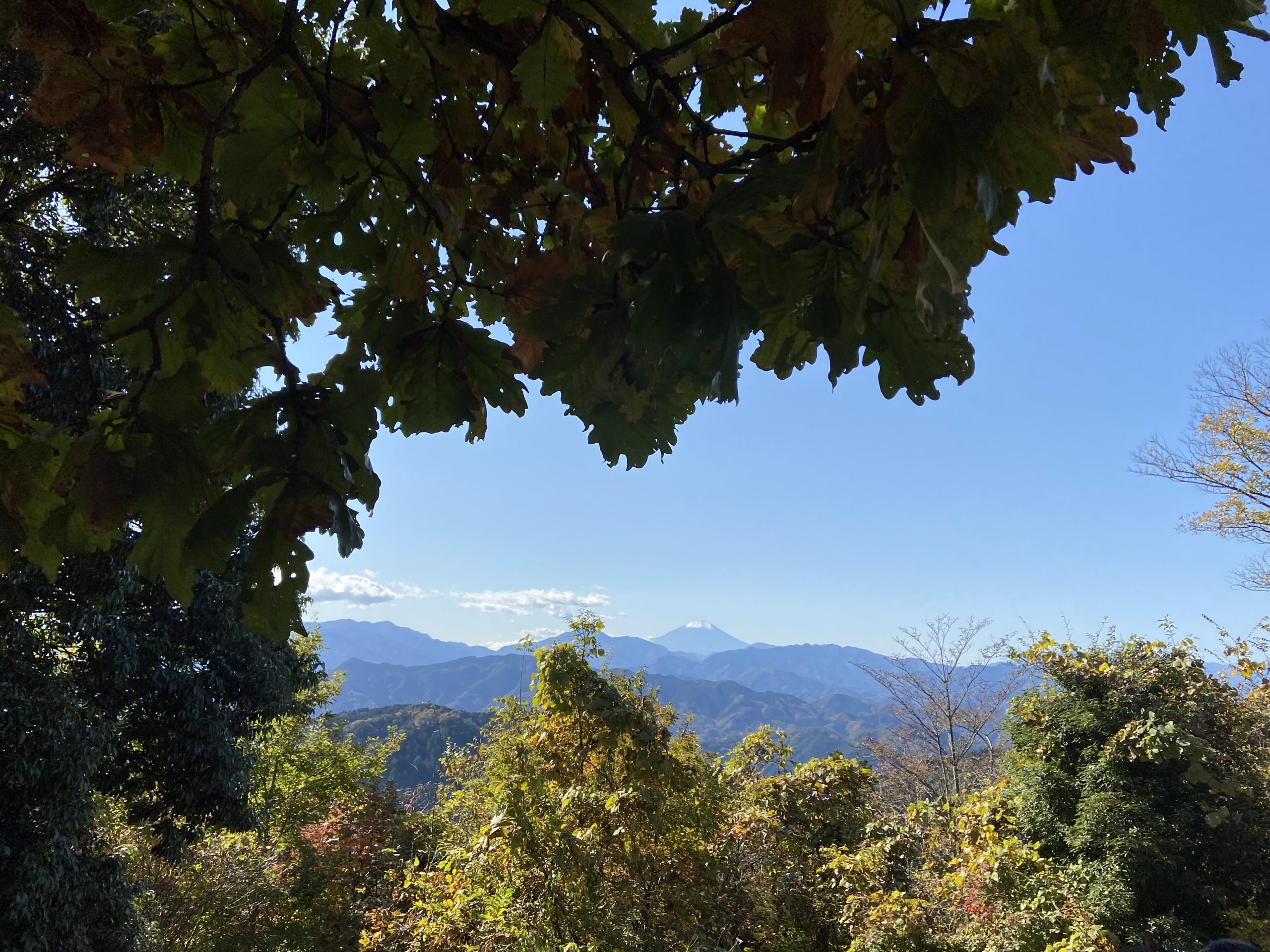 蕎麦を食べに山に登る