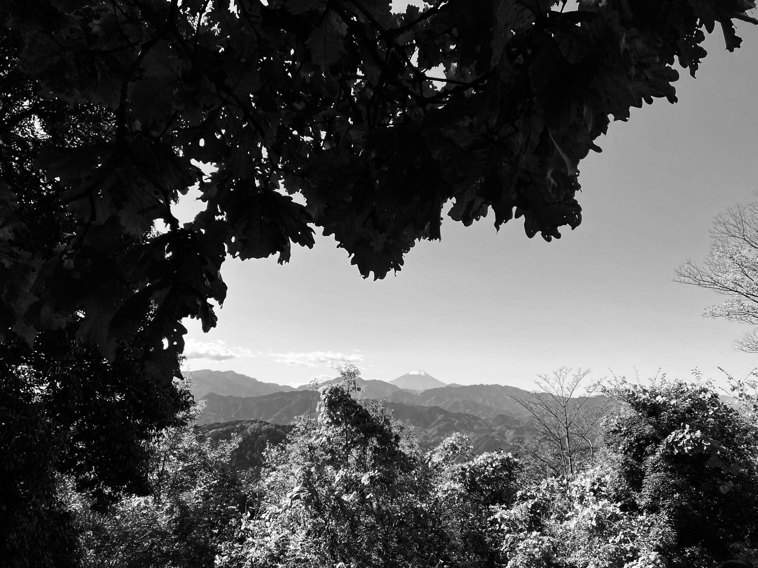 Bread is better than the songs of birds