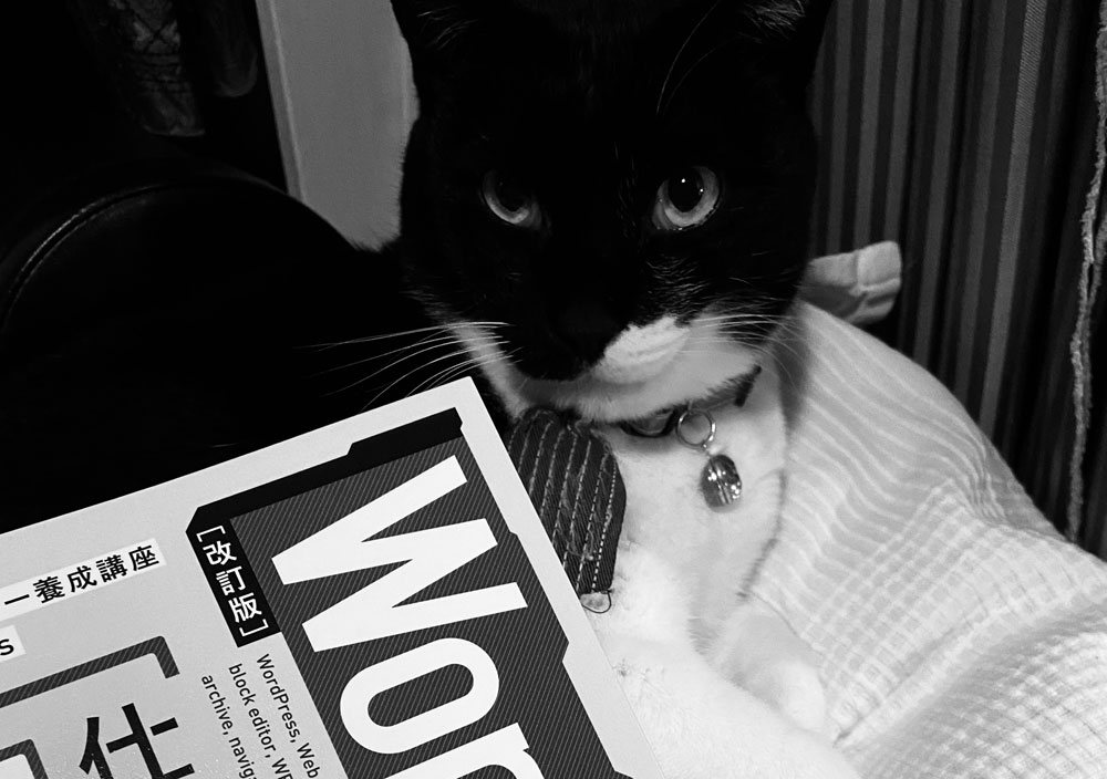 またもやブログがエラー