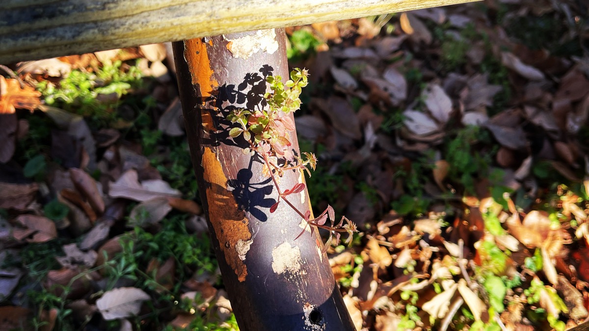 2023年あけましておめでとうございます。