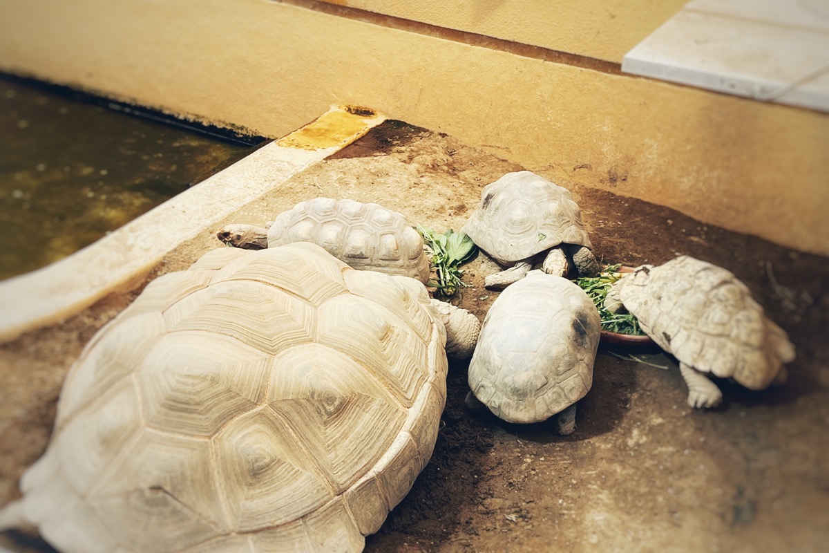 久しぶりの夏休み